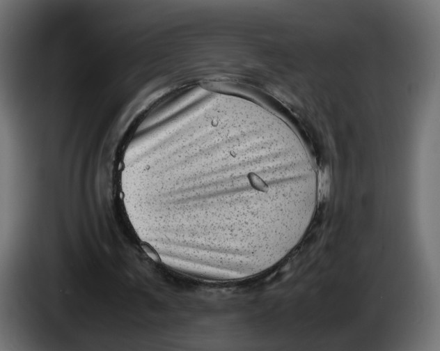 X0000083560291200703021727