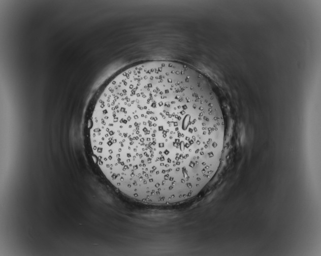 X0000083560292200703021727