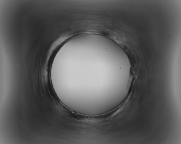 X0000083560294200703021727