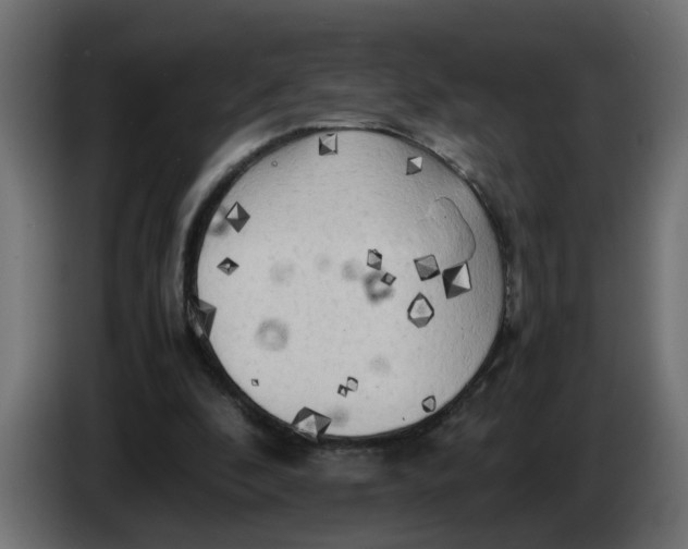 X0000083560296200703021726