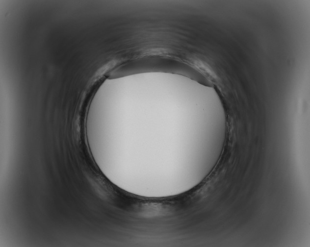 X0000083560298200703021726