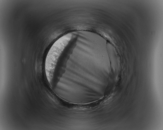 X0000083560299200703021726