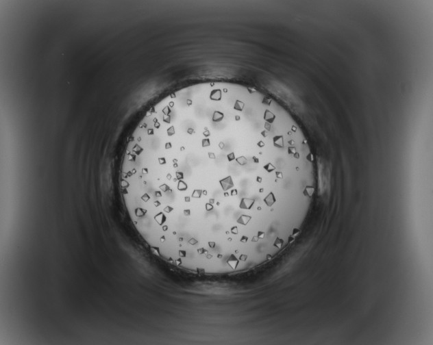 X0000083560300200703021726