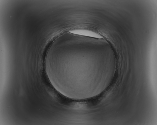 X0000083560303200703021726