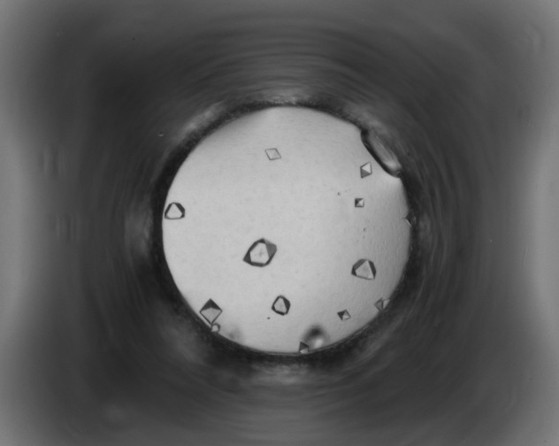 X0000083560304200703021726