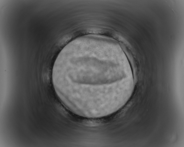 X0000083560305200703021726