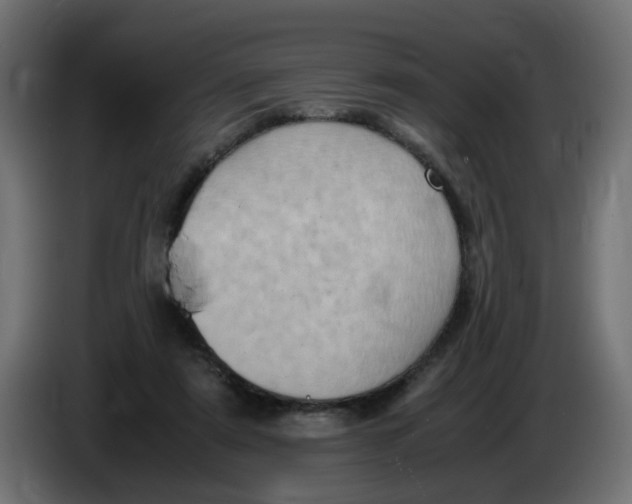 X0000083560307200703021726