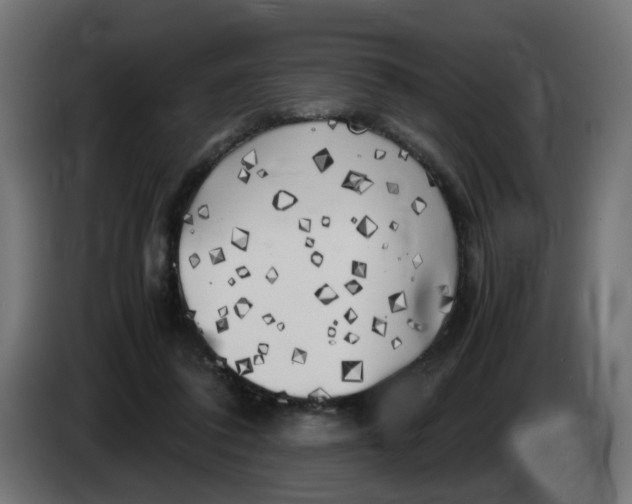 X0000083560308200703021726