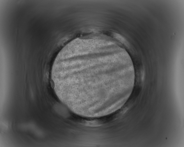 X0000083560309200703021726