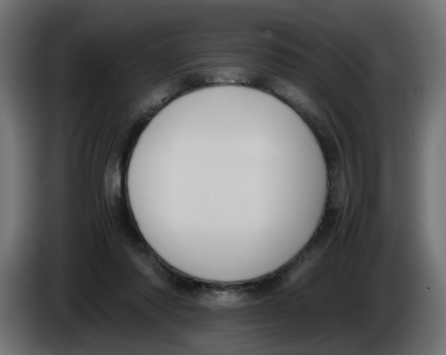 X0000083560310200703021726