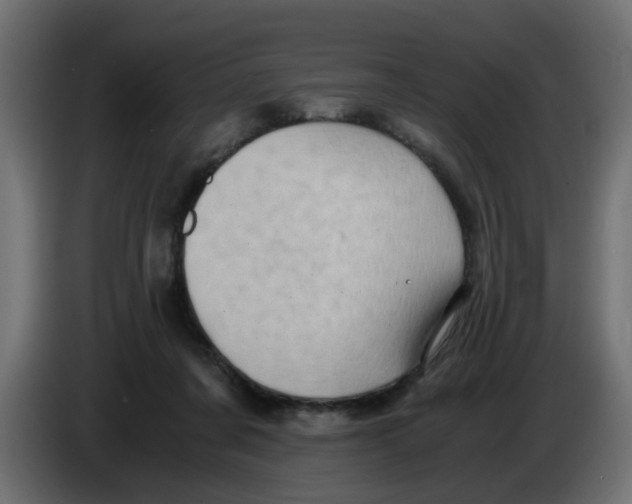 X0000083560311200703021726