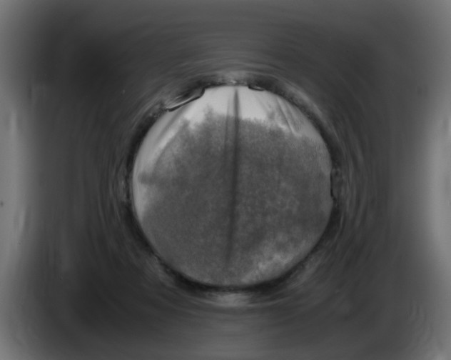 X0000083560313200703021726