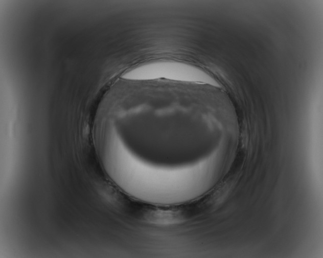 X0000083560314200703021726