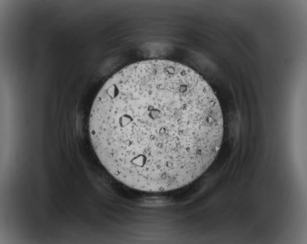 X0000083560316200703021726