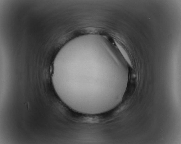 X0000083560317200703021726