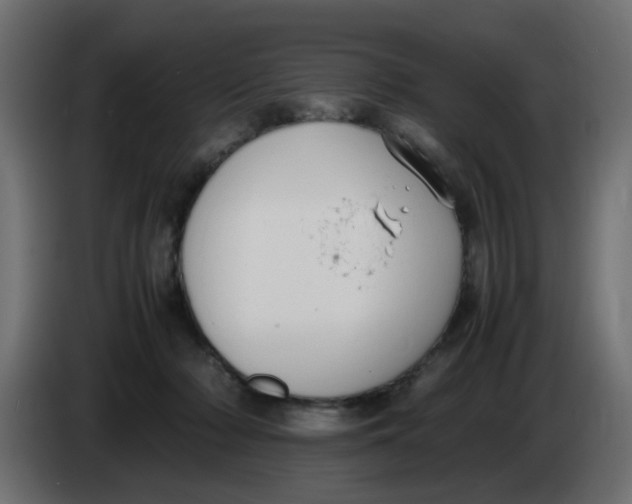 X0000083560318200703021726