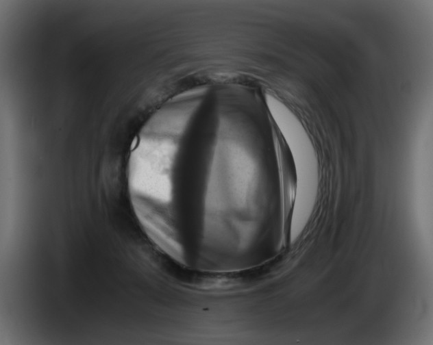 X0000083560319200703021726