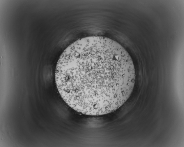 X0000083560320200703021726