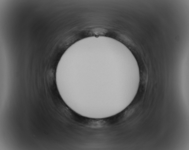 X0000083560321200703021726