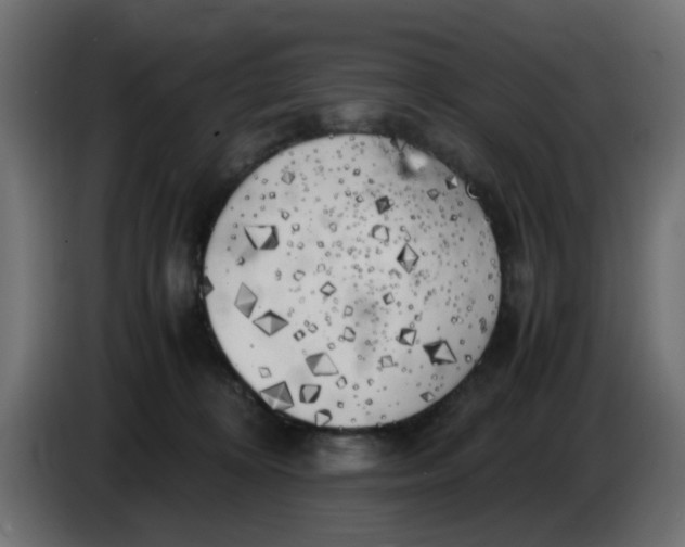 X0000083560324200703021726