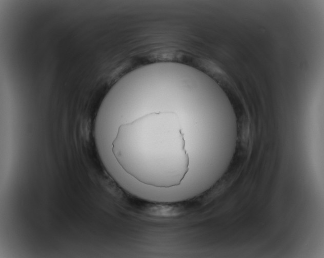 X0000083560326200703021726