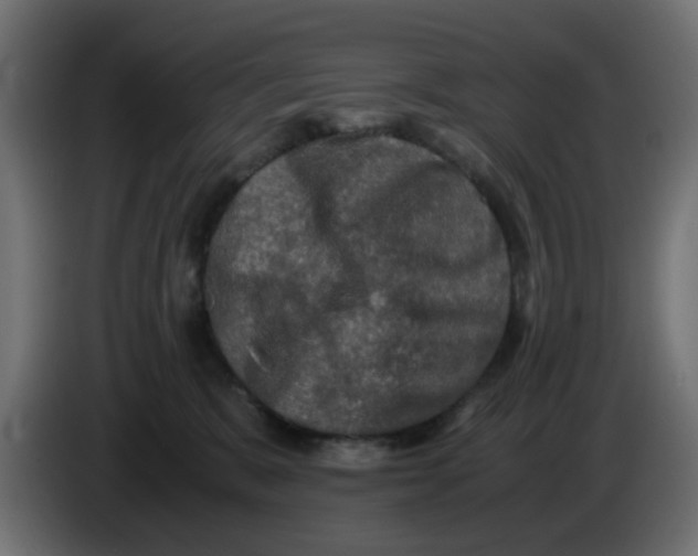 X0000083560327200703021726