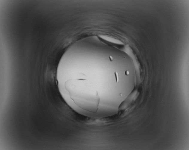 X0000083560329200703021726