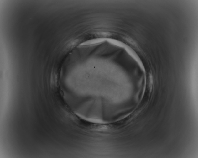 X0000083560330200703021726