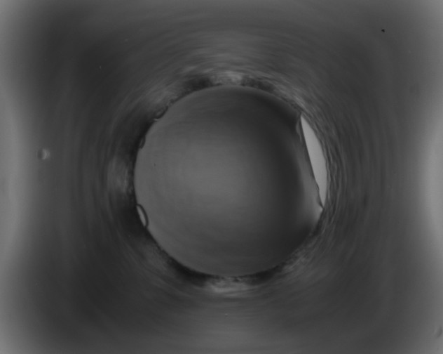 X0000083560331200703021726