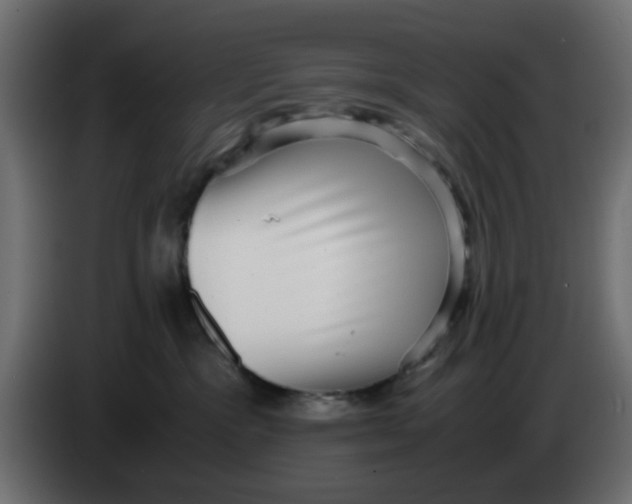 X0000083560333200703021726