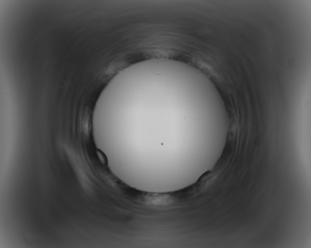 X0000083560334200703021726