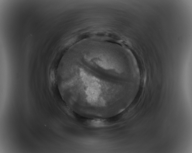 X0000083560335200703021726