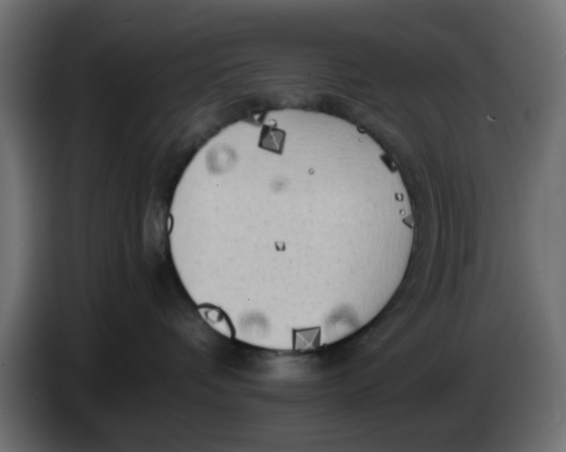 X0000083560336200703021726