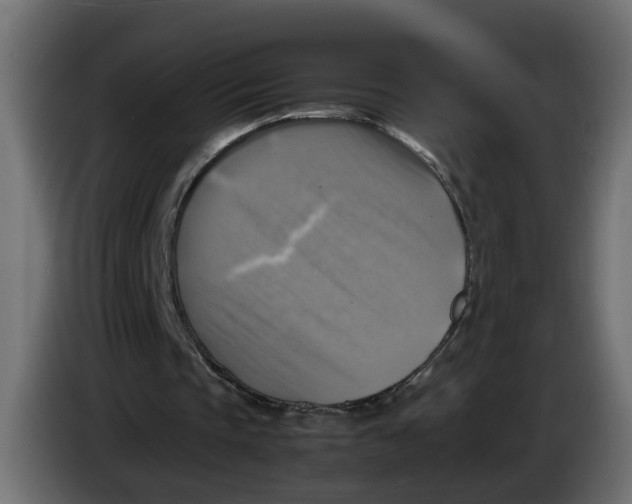 X0000083560337200703021725