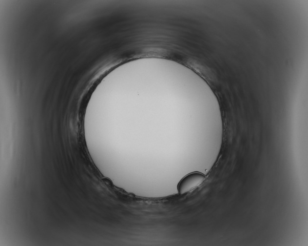 X0000083560338200703021725