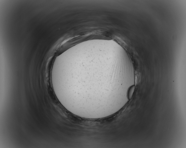 X0000083560339200703021725