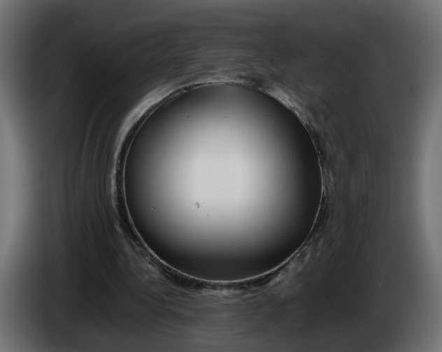 X0000083560340200703021725