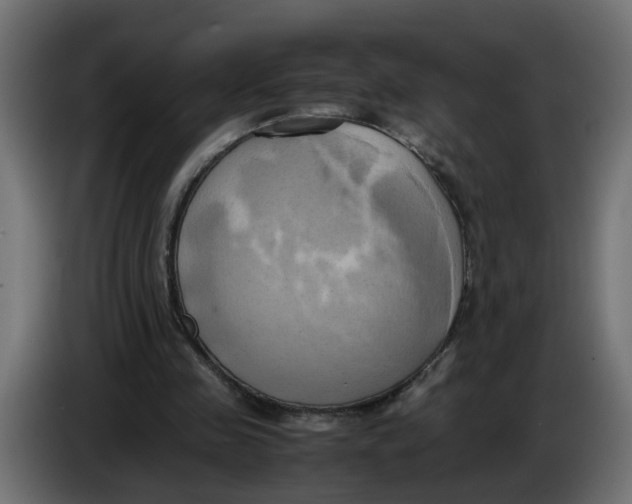 X0000083560341200703021725