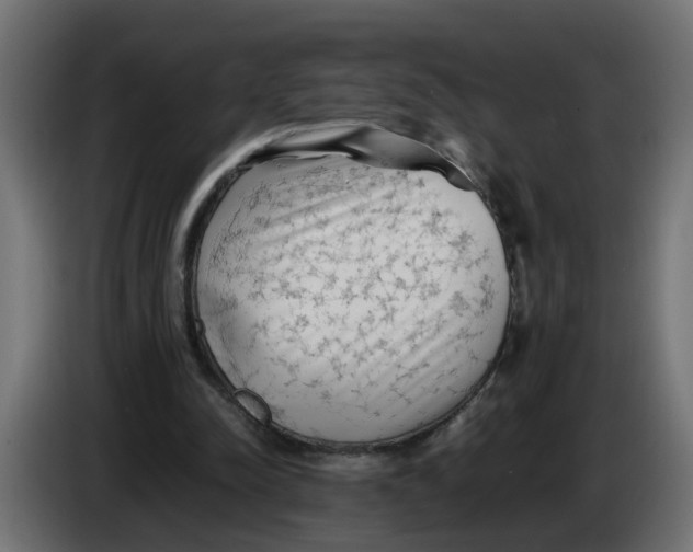 X0000083560342200703021725