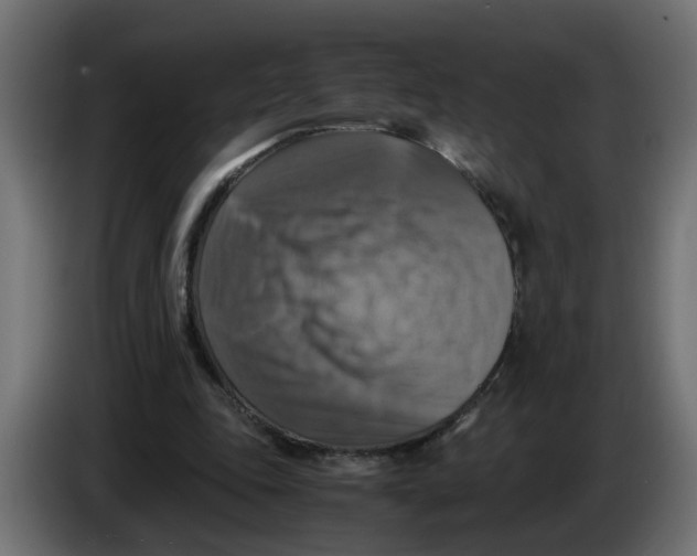 X0000083560343200703021725