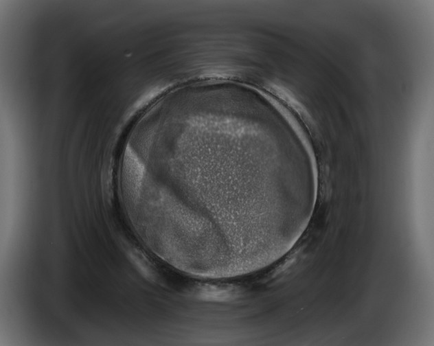 X0000083560346200703021725