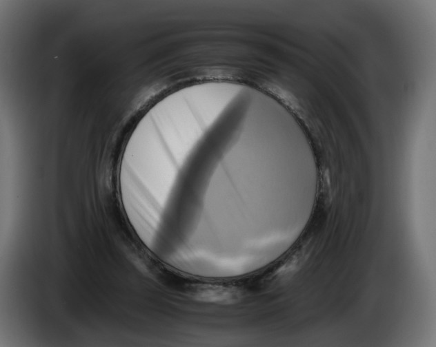 X0000083560347200703021725