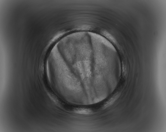 X0000083560348200703021725