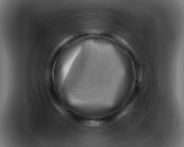 X0000083560352200703021725