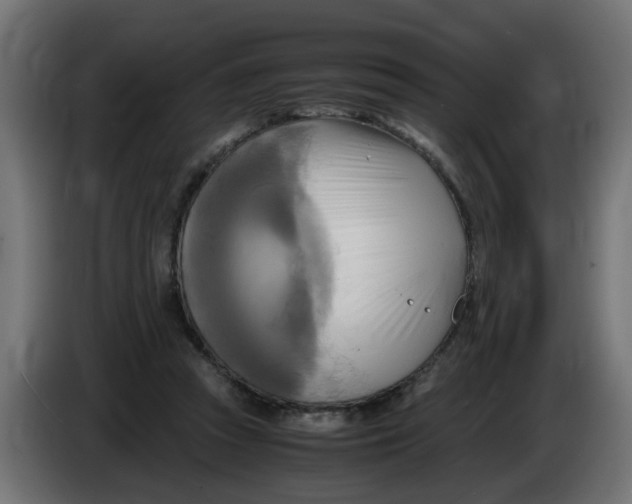 X0000083560353200703021725