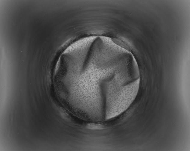 X0000083560354200703021725