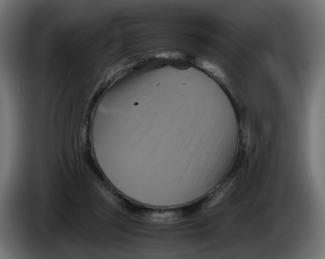 X0000083560357200703021725