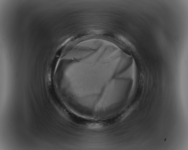 X0000083560358200703021725