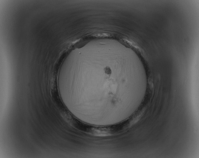 X0000083560359200703021725