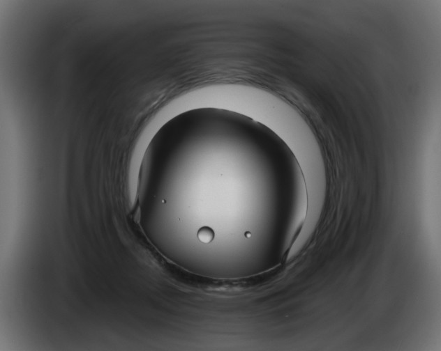 X0000083560362200703021725